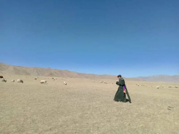 偏远山区里的网课:全家把流量省给孩子,有的边放羊边学习