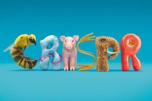 AI+基因编辑,为何成为比尔·盖茨口中的救命良方?