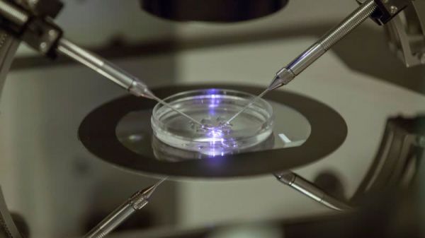 AI+基因编辑,为何成为比尔·盖茨口中的救命良方?