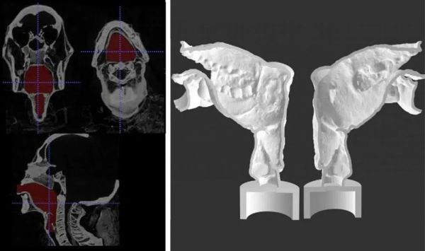 科技复原,让 3000 多前年的木乃伊“发声”