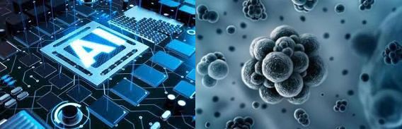 AI“黑头盔”亮相成都,警察街头2分钟筛查上百人体温