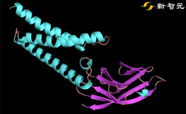 DeepMind祭出预测新冠病毒“蛋白质折叠”重磅武器：AlphaFold，精度碾压生物与病毒专家