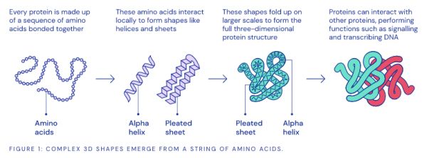 DeepMind祭出预测新冠病毒“蛋白质折叠”重磅武器：AlphaFold，精度碾压生物与病毒专家