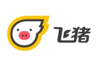 飞猪推出5亿元无抵押贷款，已为机票退改垫资10亿元