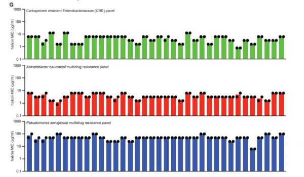 当AI开始寻找抗生素：人类终于摘取“高悬的果实”？