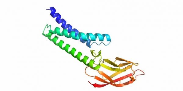 科技战“疫”中,谷歌和BAT有哪些举措?