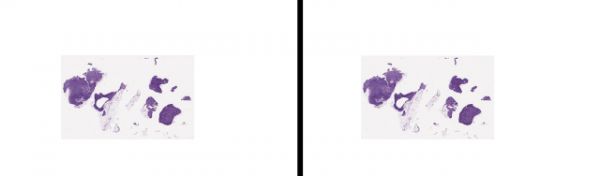 量子怎么就纠缠上 AI 了