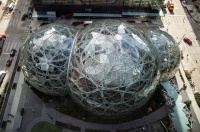 员工在家办公影响小商户收入，亚马逊补贴500万美元