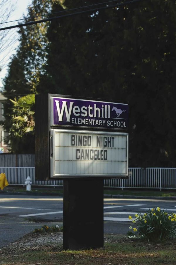 美国学生怎么上网课?