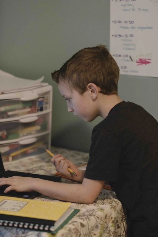 美国学生怎么上网课?