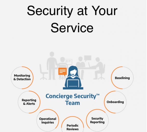 要做网络安全企业服务的领头羊,美国初创公司「Arctic Wolf」获6000万美元D轮融资