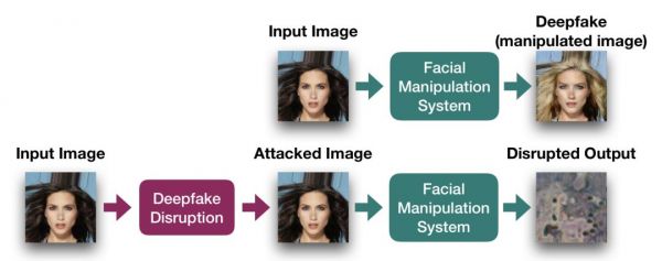 担心自己照片被Deepfake利用?试试波士顿大学这项新研究