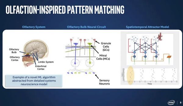 768颗芯片、1亿个神经元,电脑追上小型哺乳动物脑容量,迄今最强神经拟态系统诞生