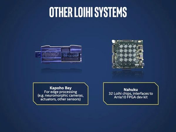 768颗芯片、1亿个神经元,电脑追上小型哺乳动物脑容量,迄今最强神经拟态系统诞生