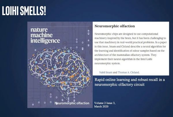 768颗芯片、1亿个神经元,电脑追上小型哺乳动物脑容量,迄今最强神经拟态系统诞生