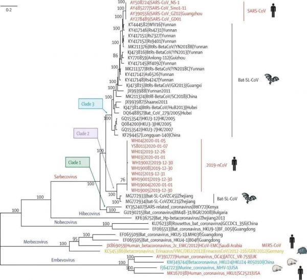 2019年12月31日,人工智能发出第一条病毒警告