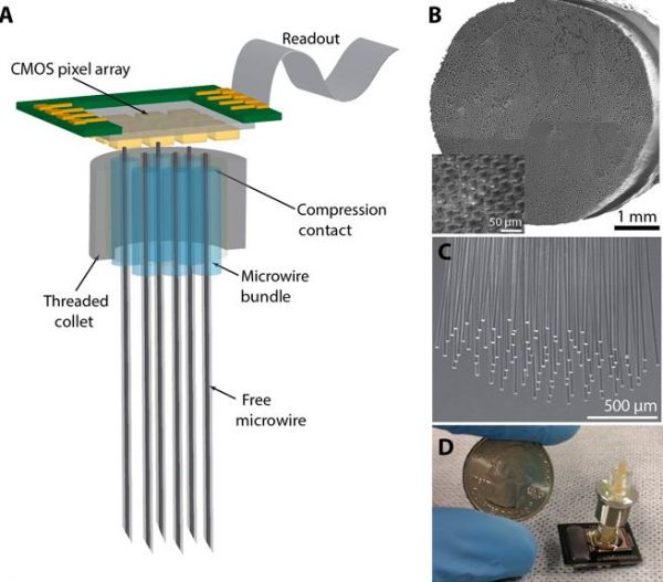 挑战马斯克Neuralink,斯坦福全新脑机接口,直连大脑和硅基芯片