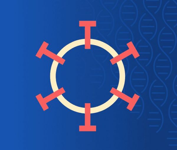 美国公开新冠数据集欲借力AI,人工智能如何参与全球战“疫”?