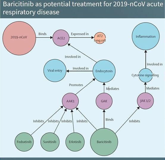 美国公开新冠数据集欲借力AI,人工智能如何参与全球战“疫”?