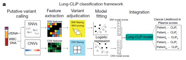 Nature:机器学习再立功,斯坦福大牛团队实现无创早期肺癌筛查