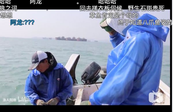 焦点分析|西瓜视频四面出击,B站危险了吗?