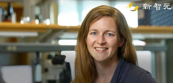 斯坦福发布“防疫公司”模拟器:“照明开关法”或为美国社交隔离最优解