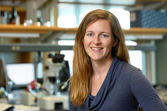 斯坦福发布“防疫公司”模拟器:“照明开关法”或为美国社交隔离最优解