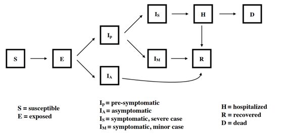 斯坦福发布“防疫公司”模拟器:“照明开关法”或为美国社交隔离最优解