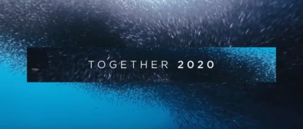 2019年年报报喜,华为却说今年争取活下来