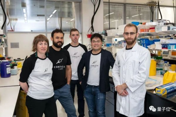 直接用人类神经元构建AI芯片,这家公司打造的无实体大脑可以玩雅达利游戏