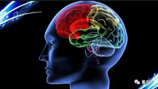 直接用人类神经元构建AI芯片,这家公司打造的无实体大脑可以玩雅达利游戏