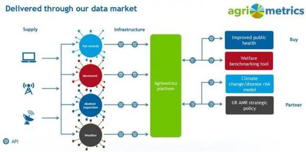 为了规避农产品价格风险,创业公司们动了哪些心思?