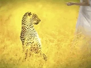 2020,市场部求生指南