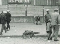 自留地，拯救俄罗斯