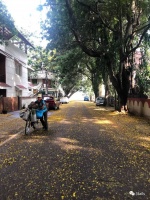 印度疫情日记 ：一个印度农村的防疫样本