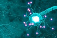 芯片造脑，科幻照进现实了？