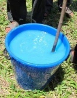 二师兄长膘，竟然靠这种粉蓝色的“梦幻”液体？