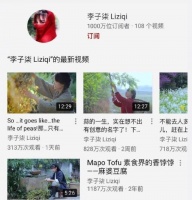 李子柒海外粉丝破千万，成为国内首位千万博主