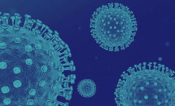 人类如果找不到新冠肺炎药物,那 AI 可以吗?