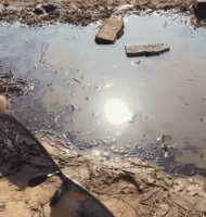 老司机戴的墨镜原来这么反常识，竟还藏着量子力学的秘密