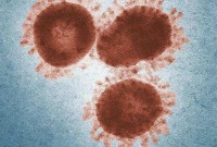 新研究显示：糖尿病患者死于新冠的风险是正常人的4倍