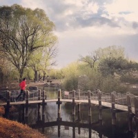 这次短视频创业失败，我打算去机场卖奶茶