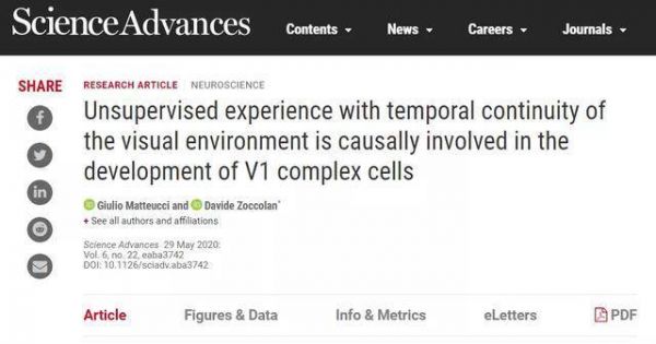 “童年影响一生”再添新证:成年人生很大程度取决于童年视觉观察