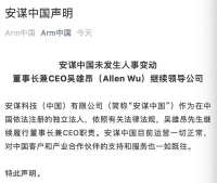 谁在抢夺Arm中国帅位？