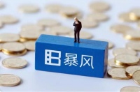 深交所：暴风集团未披露年报，股票暂停上市