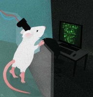 我们如何能够“举一反三”？