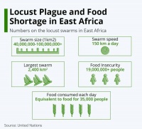 谁来驱散漫天蝗虫