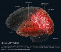 意识是什么？延续数千年的谜题，正在接近破解