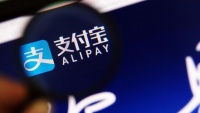 支付宝被曝狂招搜索人才？回应：只做服务搜索