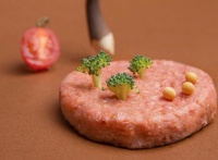 国内植物肉品牌星期零获云九资本领投千万级美元融资